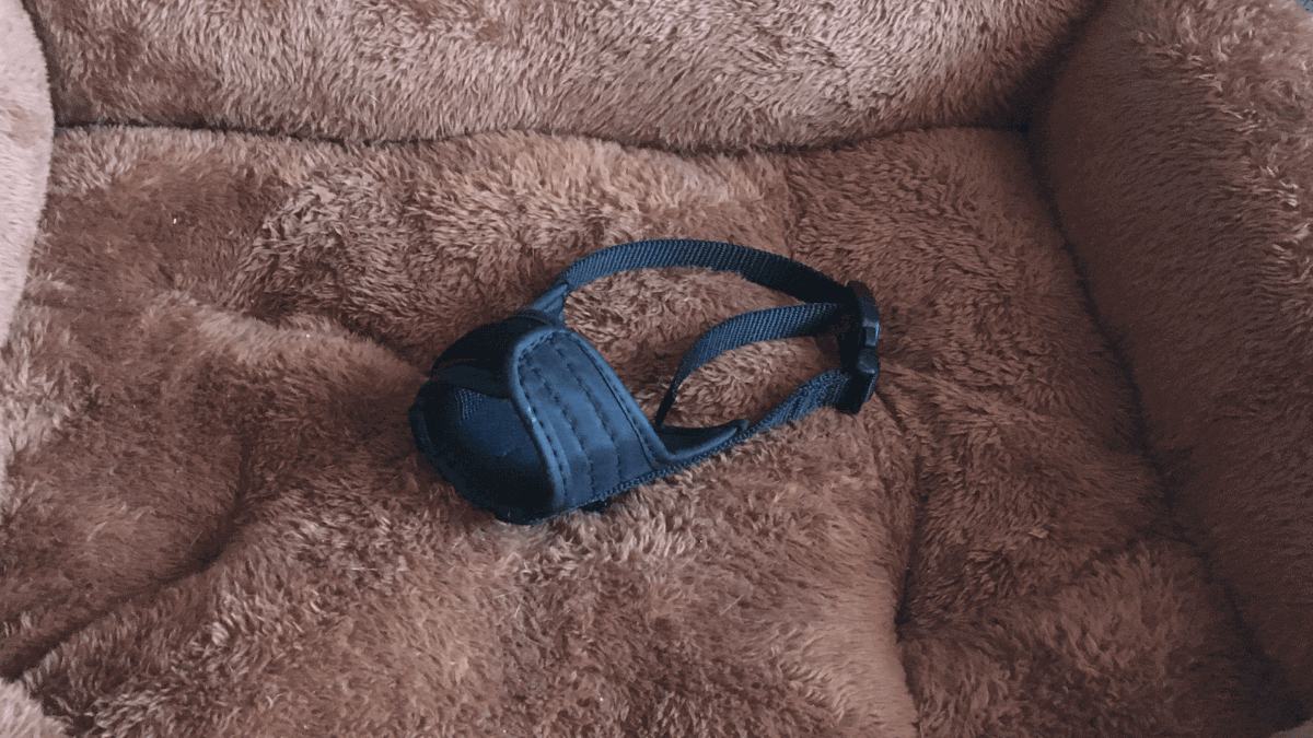 Nuestra pequeña pesadilla o como vivir con el odio a los&nbsp;perros