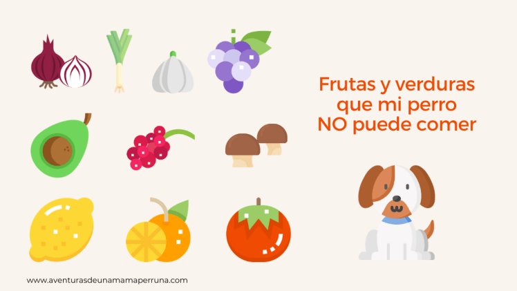 iconos frutas verduras perro