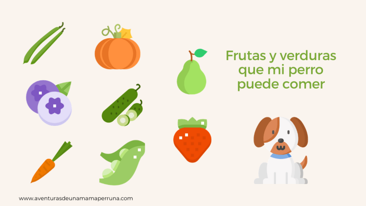 iconos frutas verduras perro