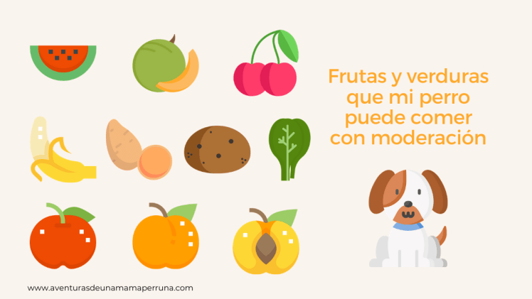iconos frutas verduras perro